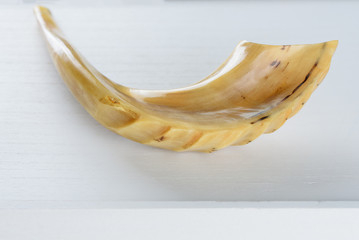 Shofar horn on white background. Shofar-  Religious and Jewish Holidays  .Rosh Hashanah, Yom Kippur symbol..