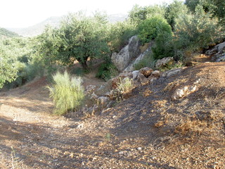 Zagrilla Baja, Espagne
