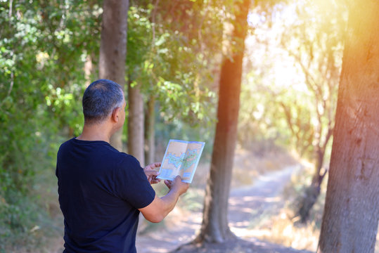 Back Side Traveler Senior Man Searching Right Direction On Map, Sunny Day, Traveling Along Nature.Old Tourist With Map Standing In Amazing Forest, Freedom, Active Lifstyle, Happy And Health Retirement