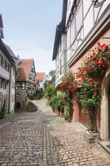 An ancient pedestrian street with half-timbered houses and growing red roses in perspective. Bad Wimpfen, Baden-Wurttemberg, Germany.