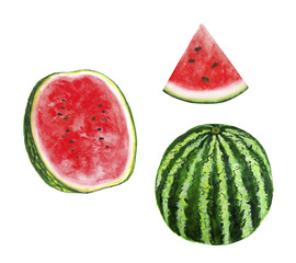 Watermelon illustration watercolor