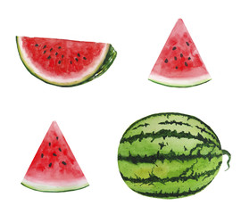 Watermelon illustration watercolor