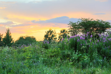 Fields laundscape in the city. Evening lsunset light