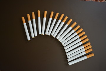 Cigarettes are lined on a brown matte background