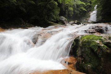 Fototapeta premium 十津川村 笹の滝