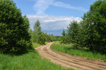 Fototapeta na wymiar Dirt road, rural landscape