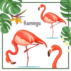 Flamingo poster with leaves and animals vector illustration