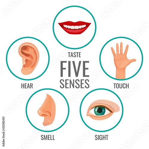 "Five senses of human perception poster icons. Taste and ...