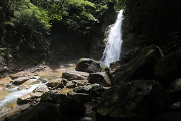 十津川村　笹の滝