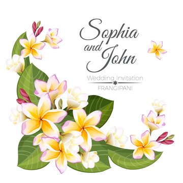 Sophia and John wedding invitation colorful celebration card