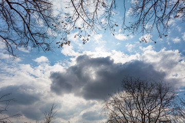 Sky with clouds and branches