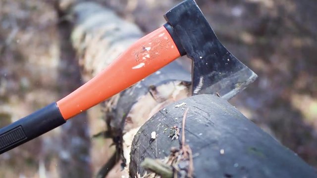 Slow Motion Axe hitting tree log, detaching bark from tree trunk - close up.