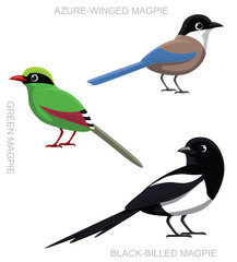 Bird Magpie Set Cartoon Vector Illustration