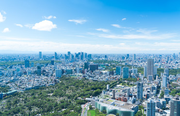 Fototapeta premium Krajobraz Tokio