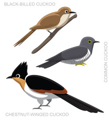 Bird Cuckoo Set Cartoon Vector Illustration