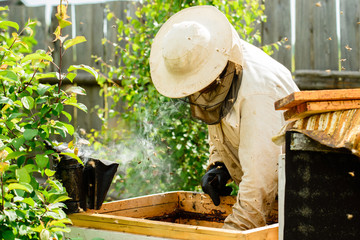 Unidentified beekeeper work with bee hives, pumping honey