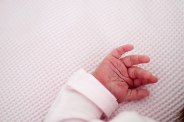 Newborn baby hand