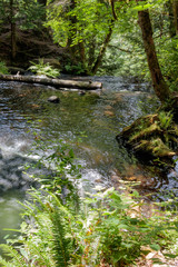 logs in pool at top of waterfall