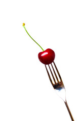 fresh red cherry blossom with green on a fork isolated on a white background - sweet eating, dessert and food concept