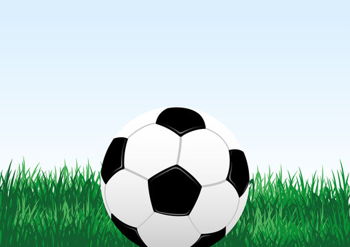 Soccer ball and green grass on a blue background.