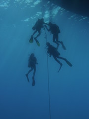 Fototapeta na wymiar Unterwasserfotografie am Roten Meer 