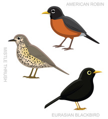 Bird True Thrush Set Cartoon Vector Illustration - obrazy, fototapety, plakaty