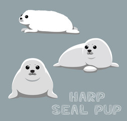 Harp Seal Pup Cartoon Vector Illustration