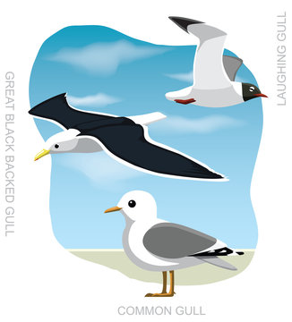 Bird Gull Set Cartoon Vector Illustration