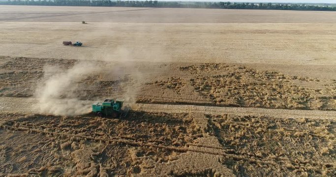 Harvesting, aerial view. Aerial photography, combine harvester in the field.