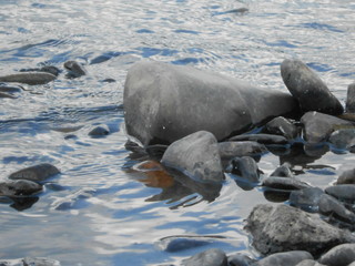 Fototapeta premium камни в реке летом