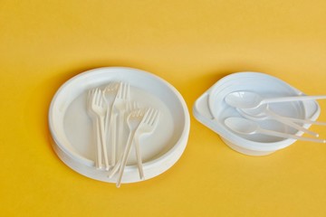 disposable tableware