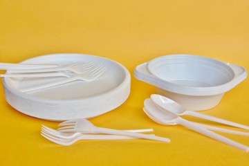 disposable tableware
