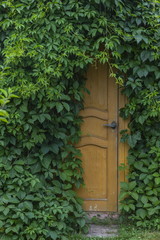 Wooden door surrounded by foliage