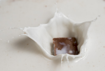Chocolate falls in milk