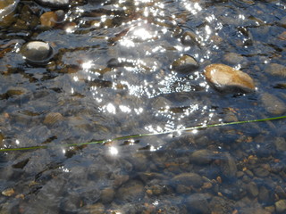 камни на реке под лучами солнца