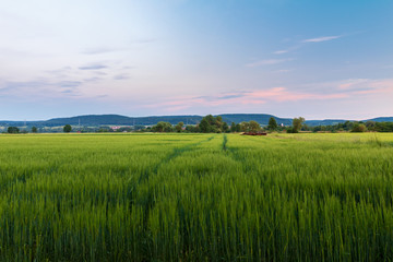 Obraz premium Landschaft #9