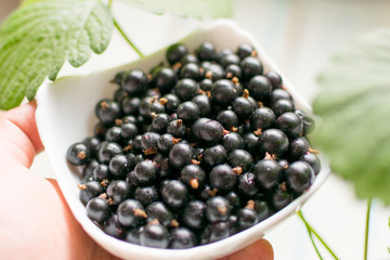 Black currant in a white plate.
