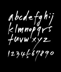 벡터 문자 / 손으로 쓴 글씨체