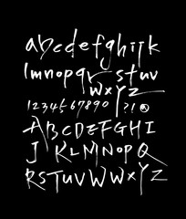 벡터 문자 / 손으로 쓴 글씨체