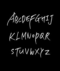 벡터 문자 / 손으로 쓴 글씨체