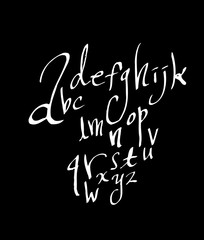 벡터 문자 / 손으로 쓴 글씨체