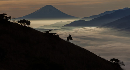 Fototapeta na wymiar 雲海と富士山