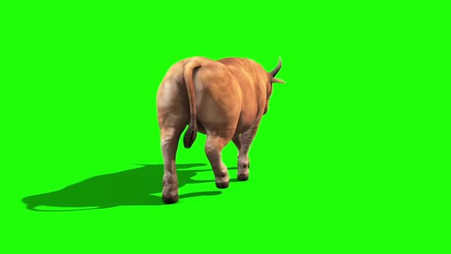 Bull Light Hair Walkcycle Back Green Screen 3D Rendering Loop