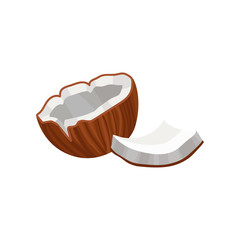 Coconut, source of edible oil vector Illustration on a white background