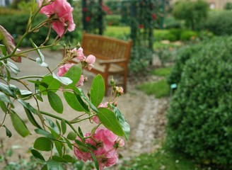 Wooden bench in the city park
