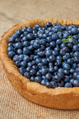 A half of homemade blueberry pie ready to eat. Summer tart with fresh berries. Food background. Side view