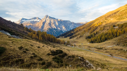Spl&uuml;genpass im Herbst