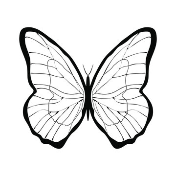 Graphic symbol butterfly. Isolated black sign on white background. Vector illustration