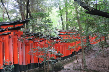 Fototapeta na wymiar Fushimi Inari shrine