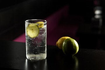 Close up of glass of a freshly prepared gin and tonic with lime slices and twist of lemon.